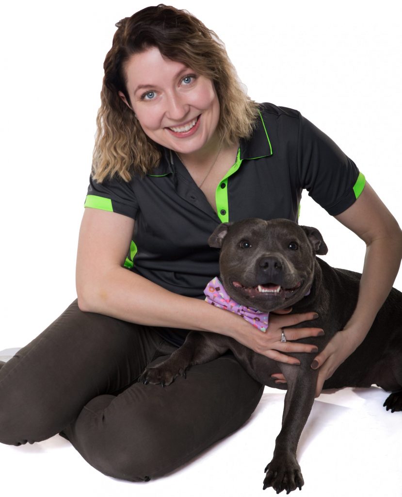 Online Dog Training Course | Skype Lessons | Eazy Dog Training