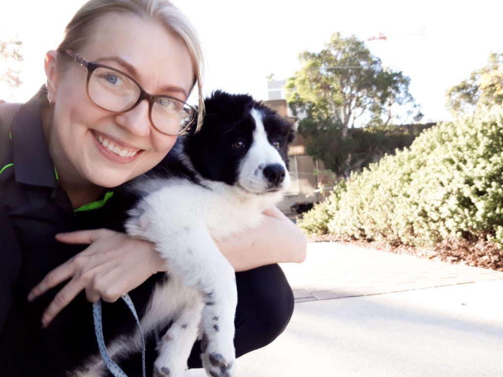 Private dog training Sydney