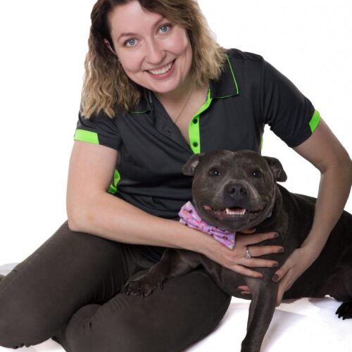 Dog Trainer Inner West Sydney -All 