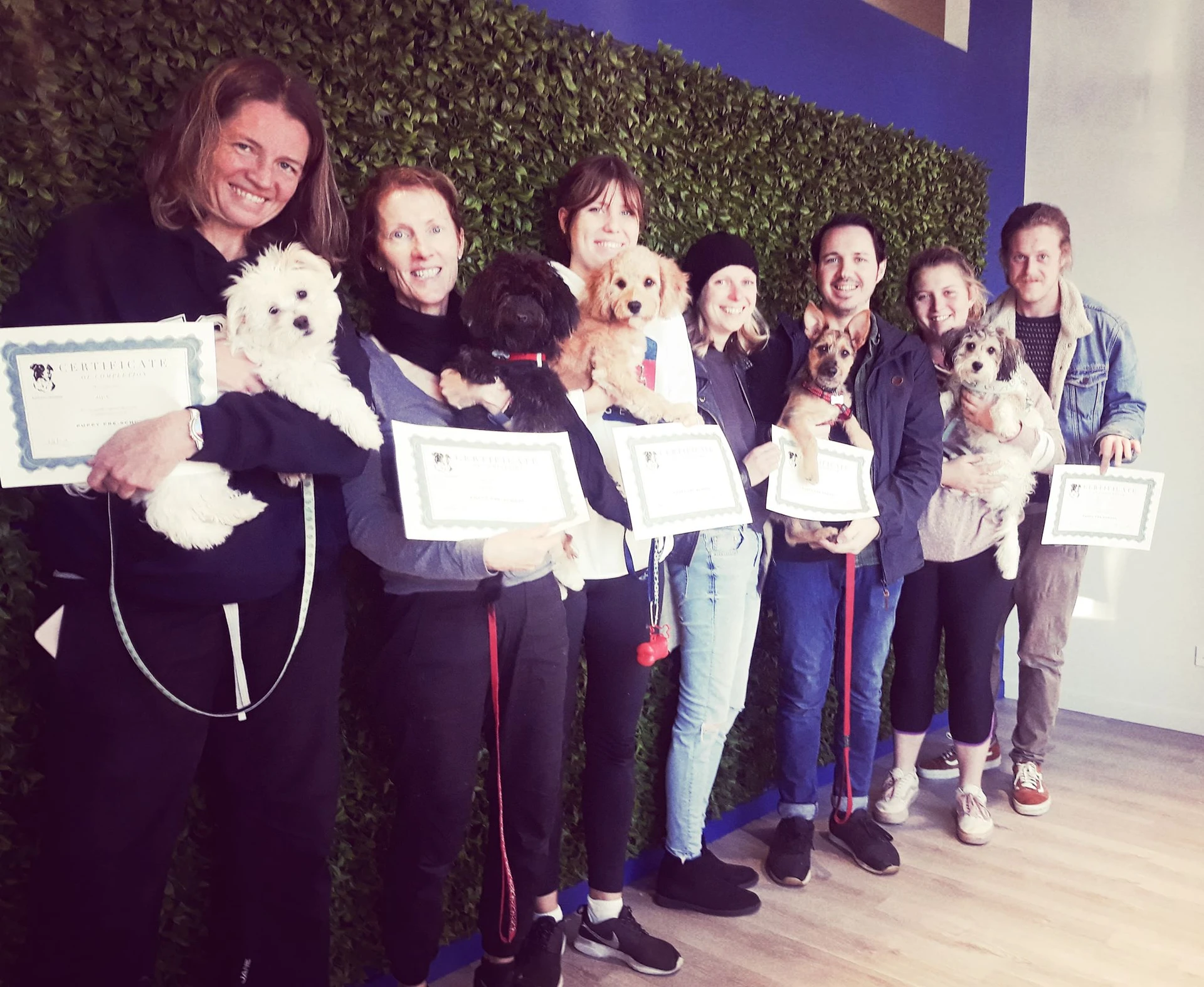 puppy classes Darlinghurst