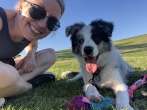 puppy school Darlinghurst