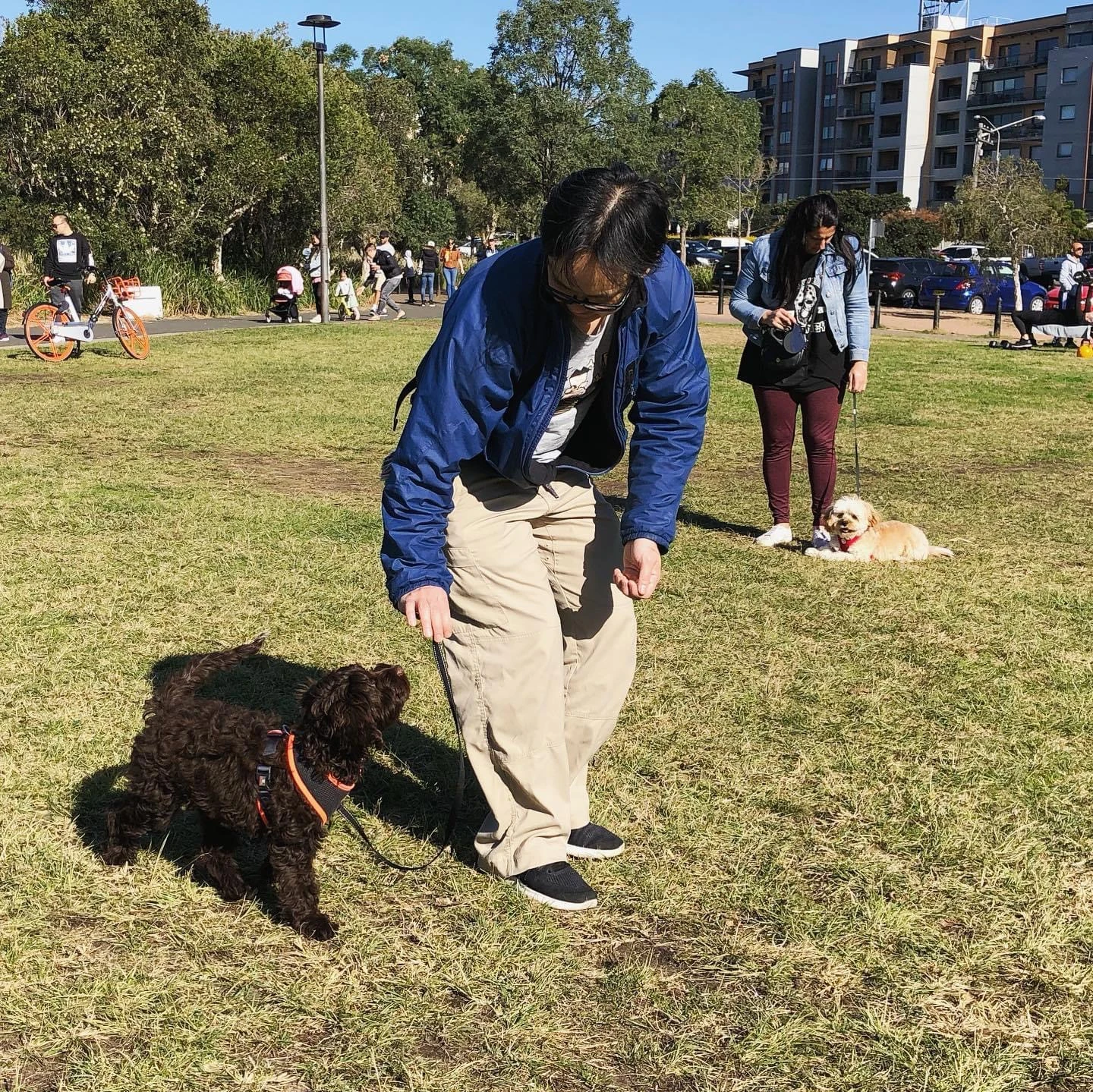 dog training mascot