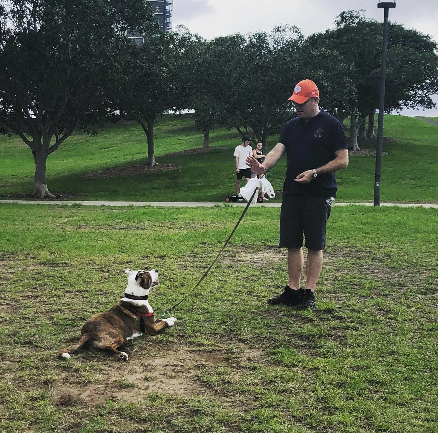 Obedience Classes in Botany