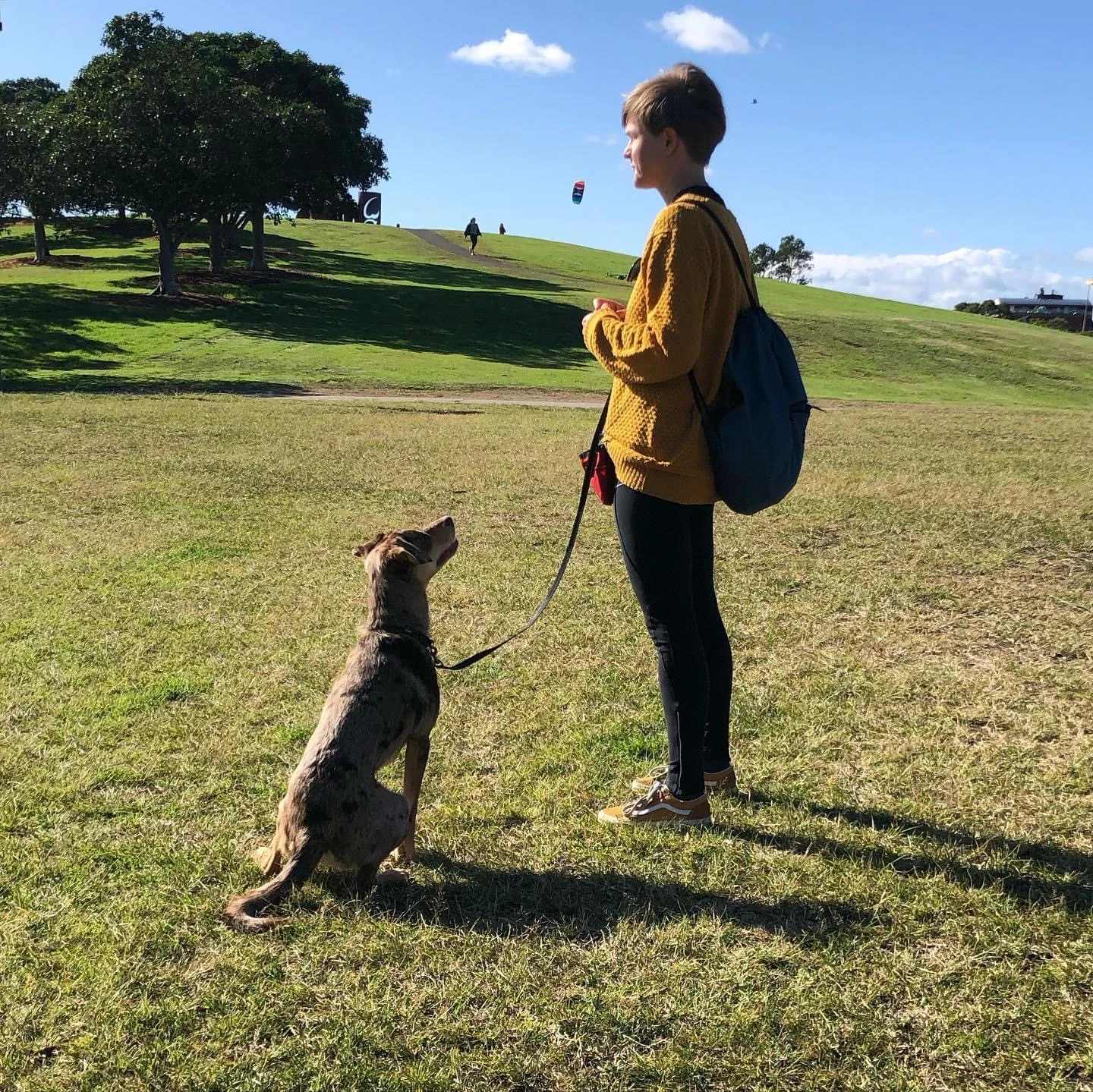 Obedience Classes in Mascot, Marrickville, Camperdown, Botany and Darlinghurst!